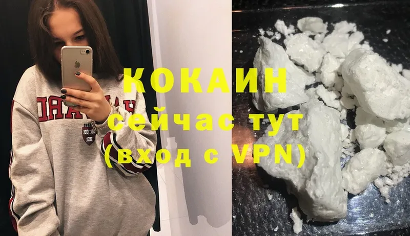 кракен маркетплейс  Нерехта  Cocaine Fish Scale 