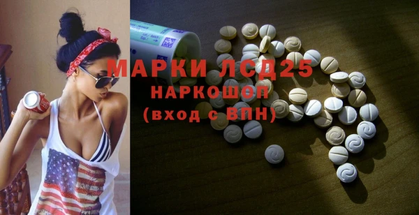 стаф Михайловск